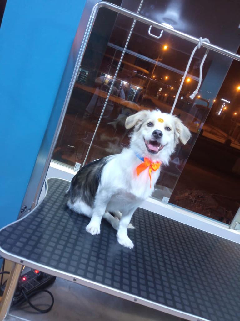Cliente 2